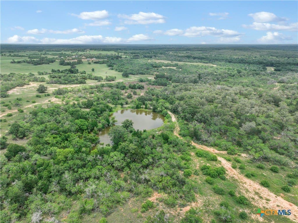 52.97 acres in Guadalupe County featured view