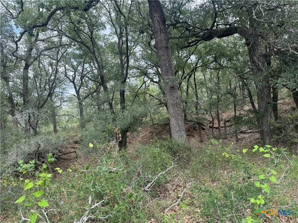 52.97 acres in Guadalupe County - photo 8