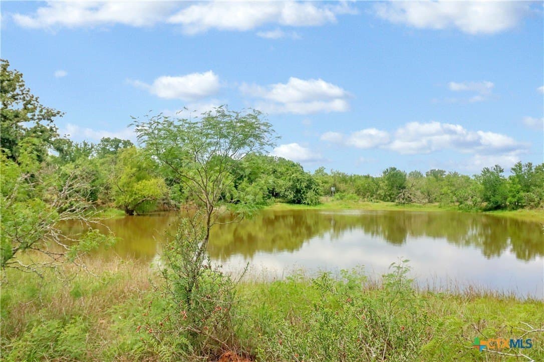 52.97 acres in Guadalupe County - photo 19