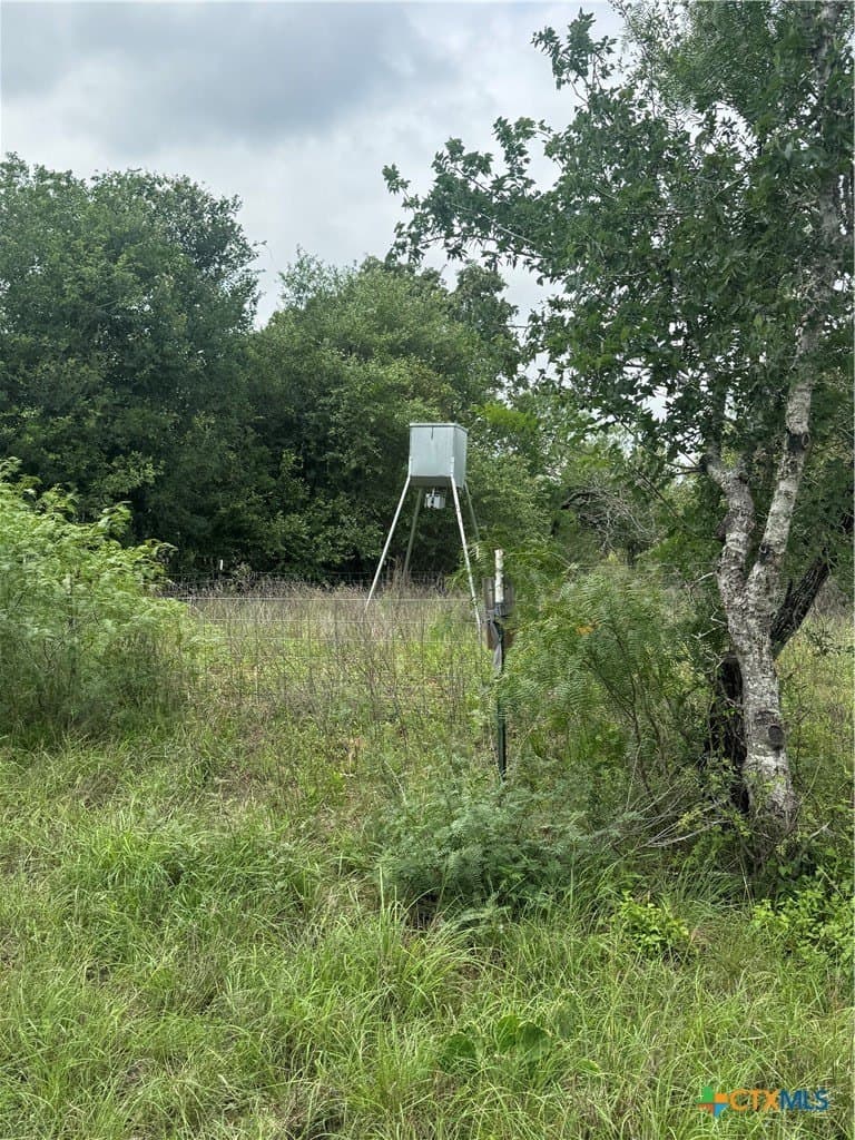 52.97 acres in Guadalupe County - photo 23