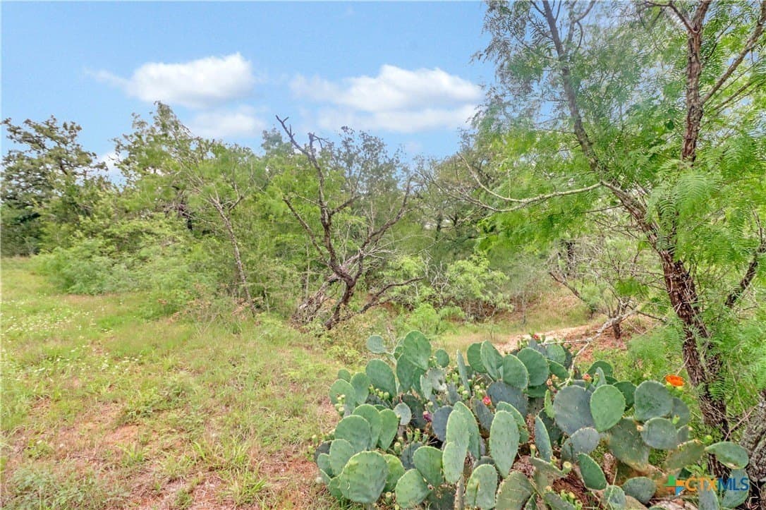52.97 acres in Guadalupe County - photo 24