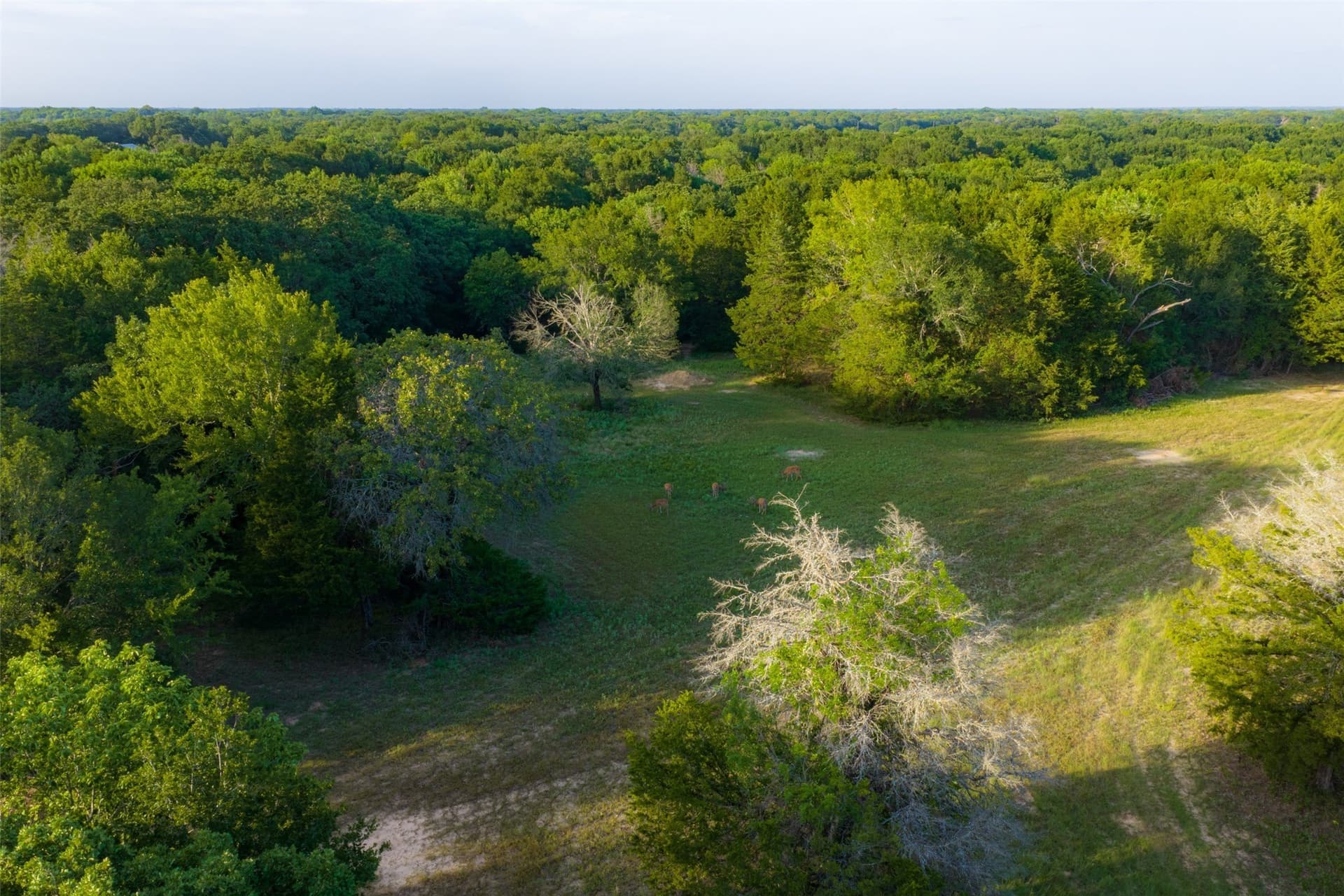 117 acres in Kaufman County - photo 24