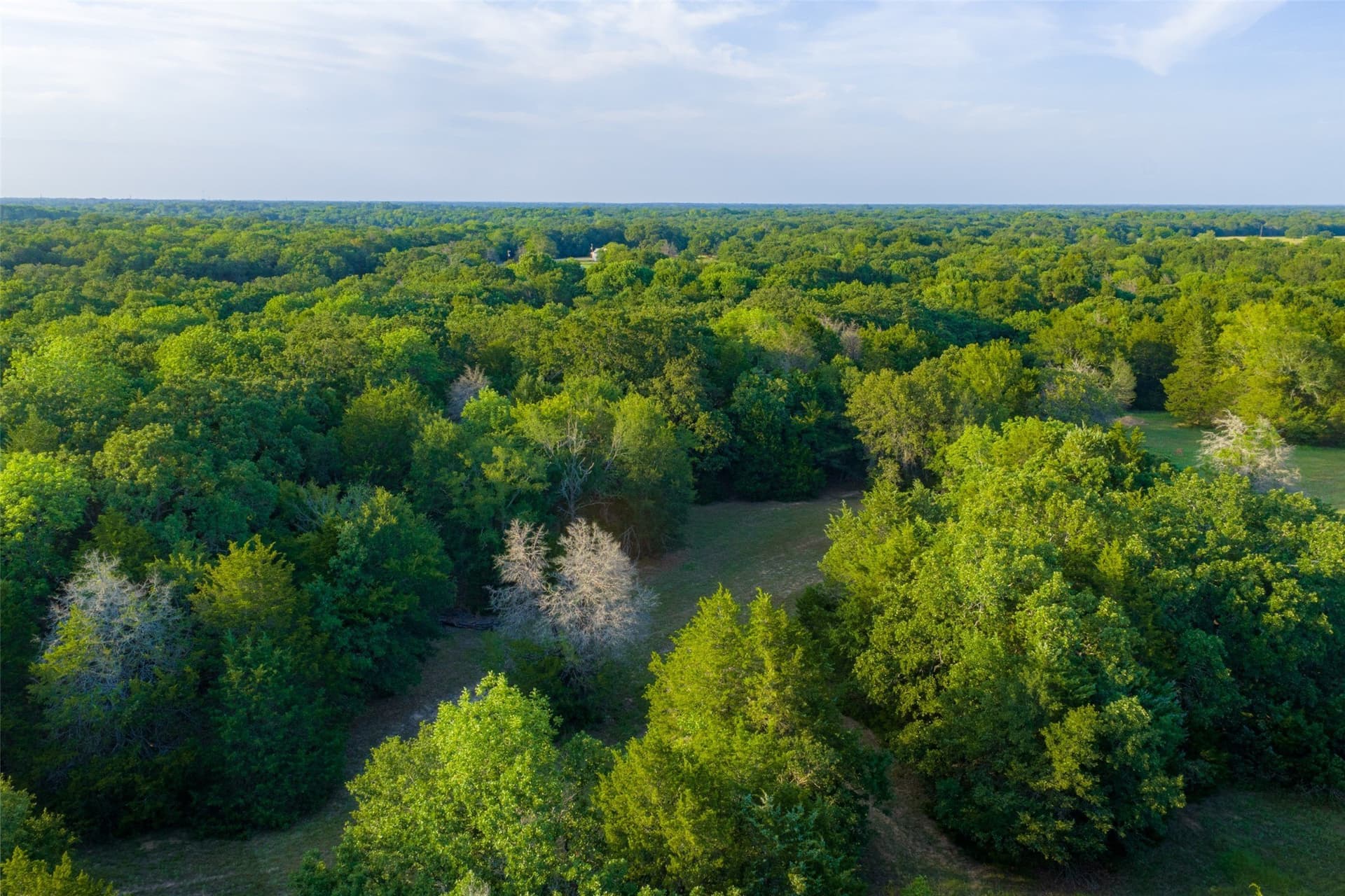 117 acres in Kaufman County - photo 37
