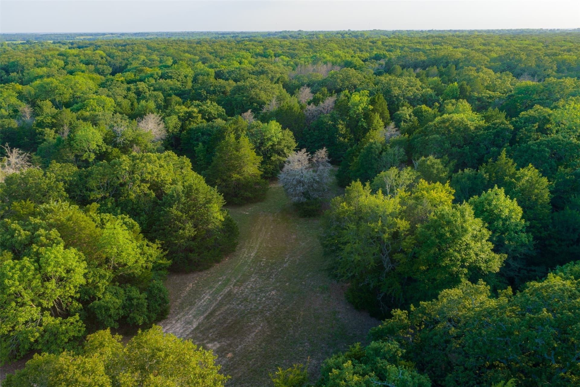 117 acres in Kaufman County - photo 28