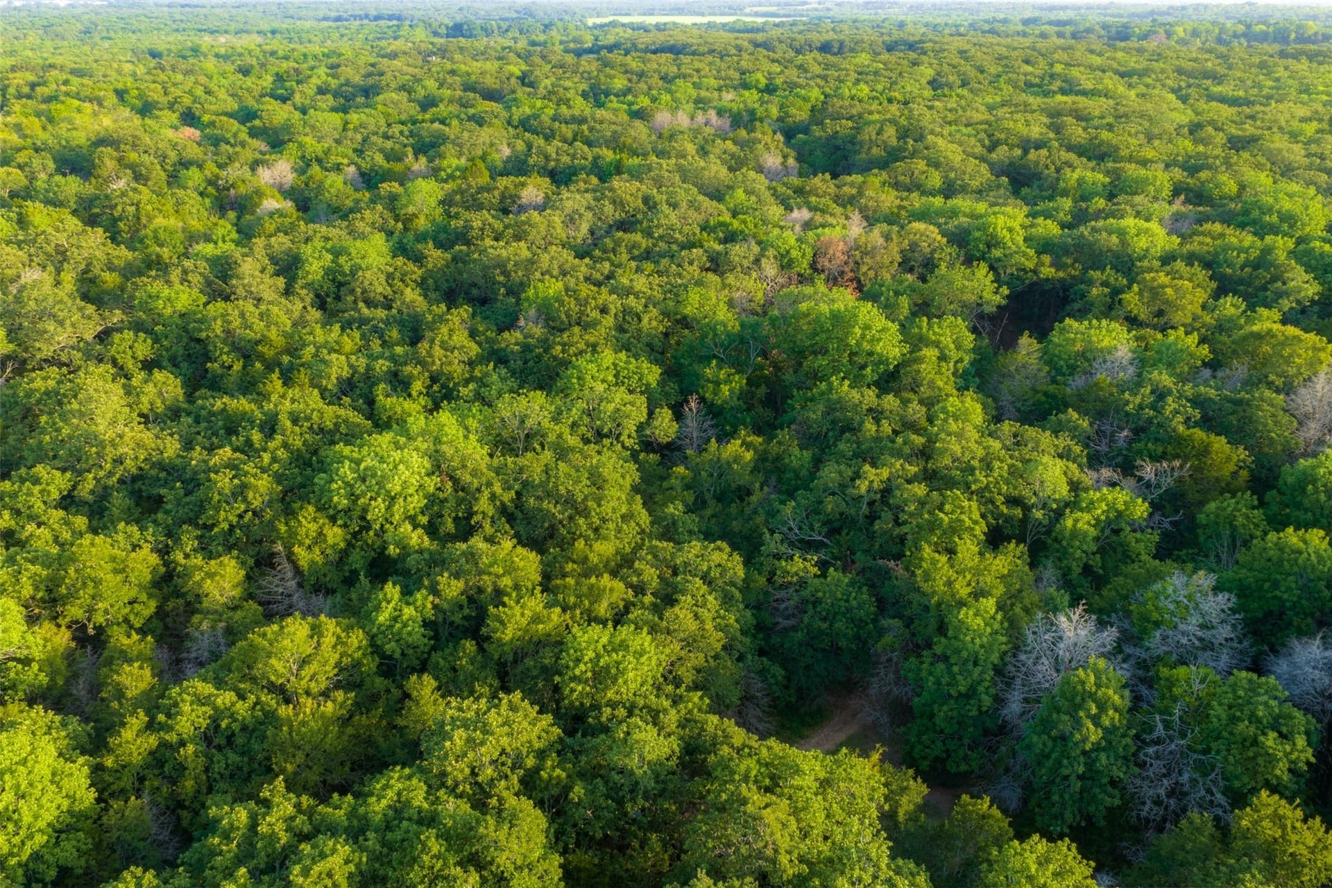 117 acres in Kaufman County - photo 32