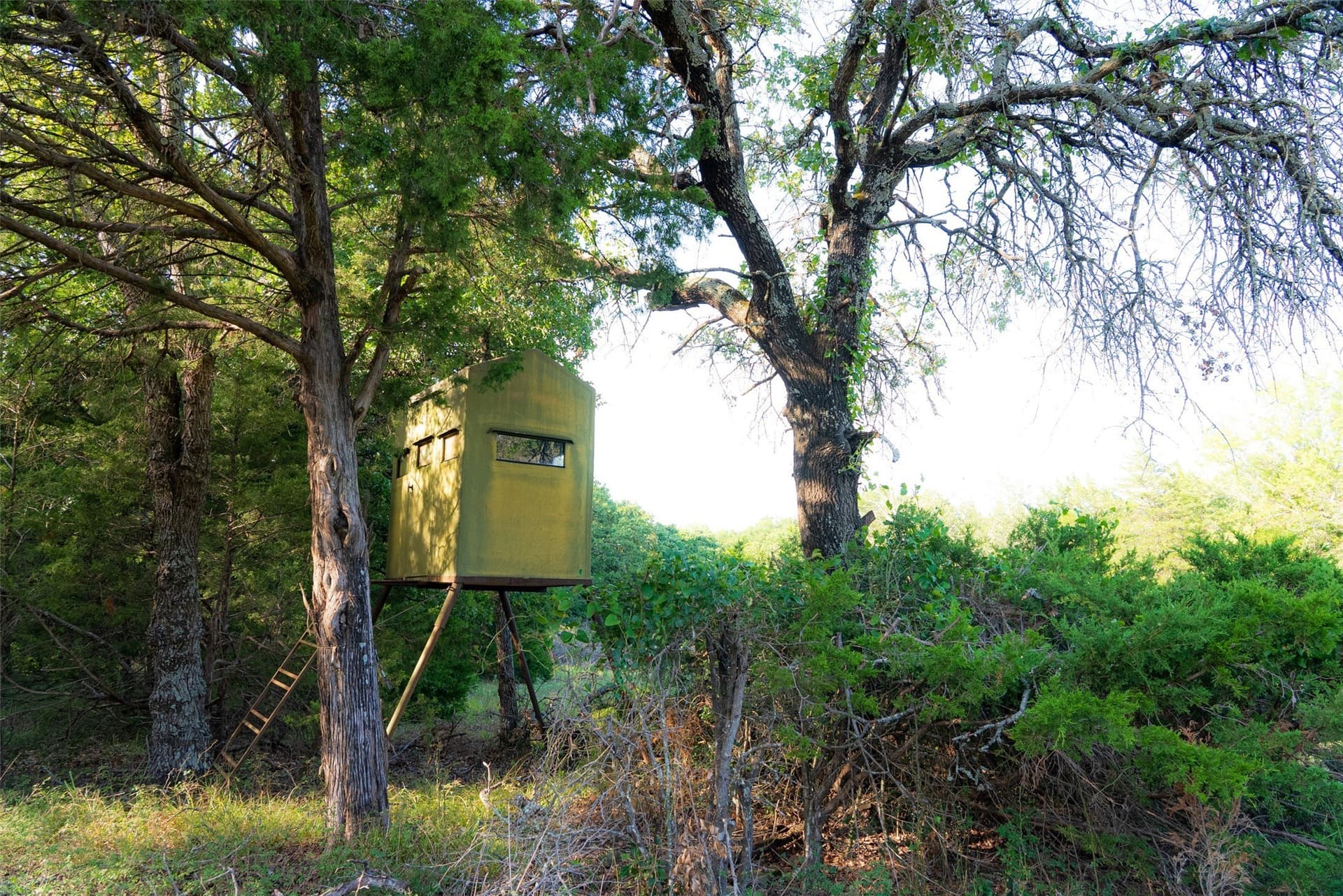 117 acres in Kaufman County - photo 36