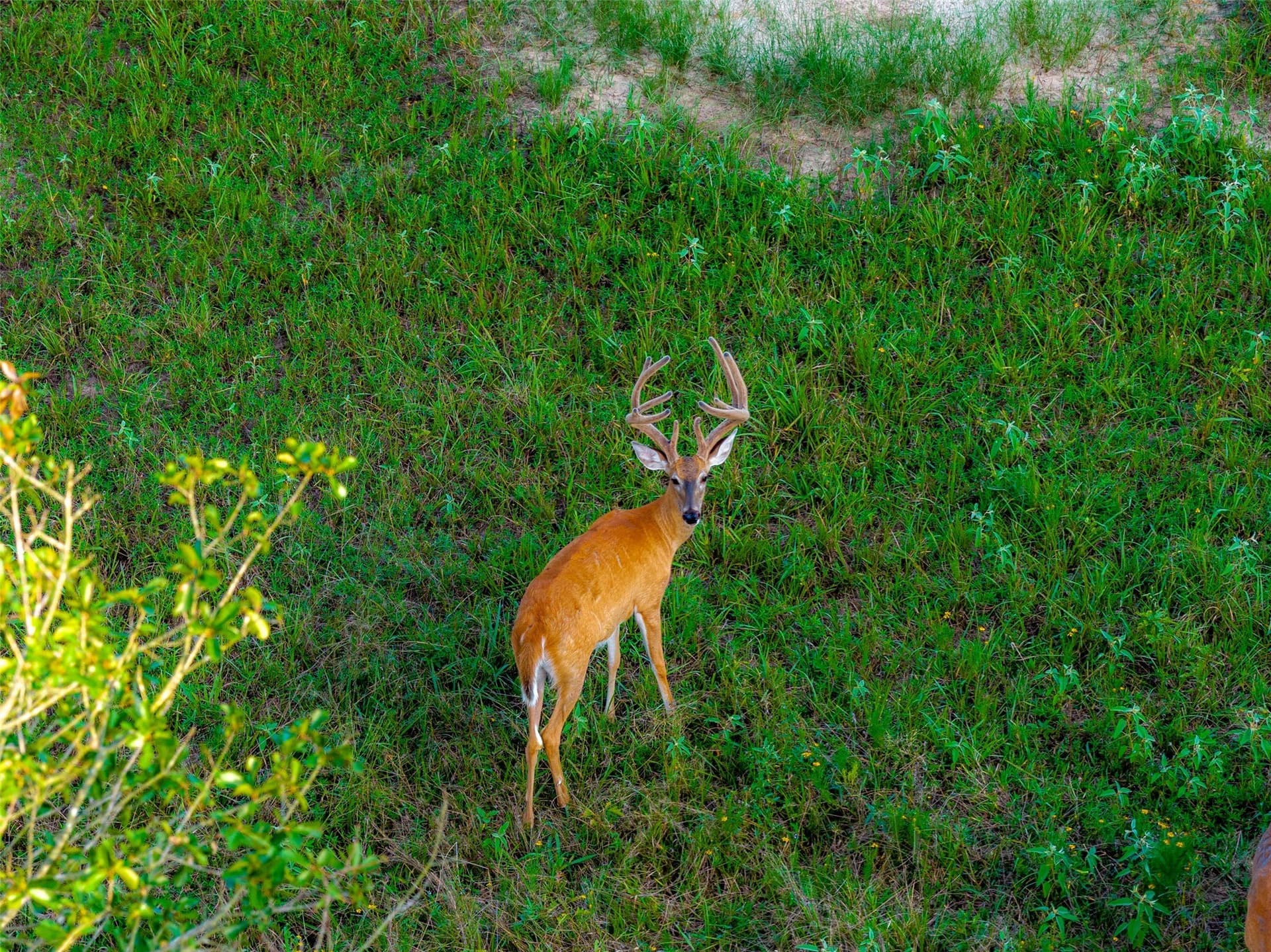 117 acres in Kaufman County - photo 34
