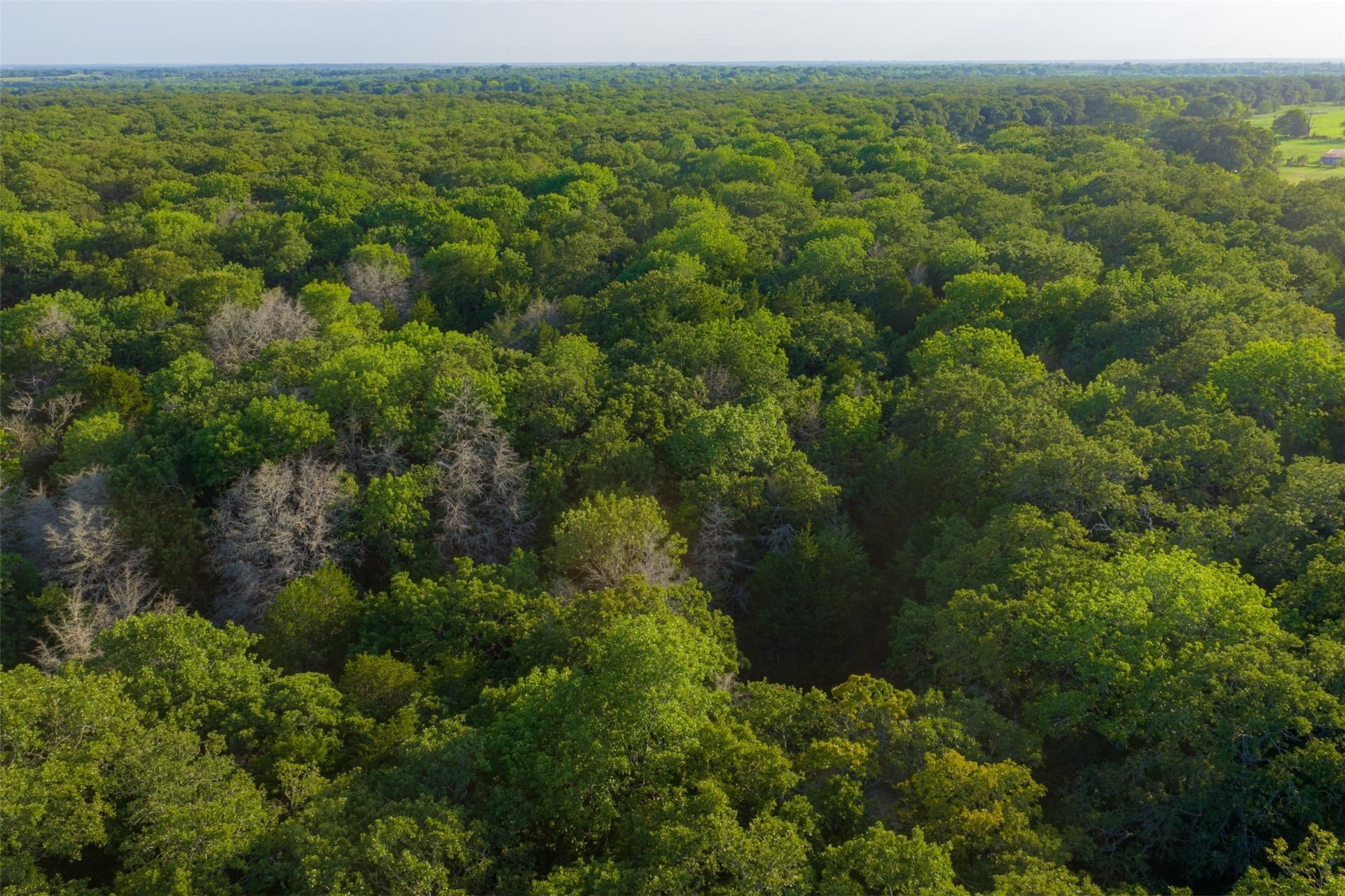 117 acres in Kaufman County - photo 35