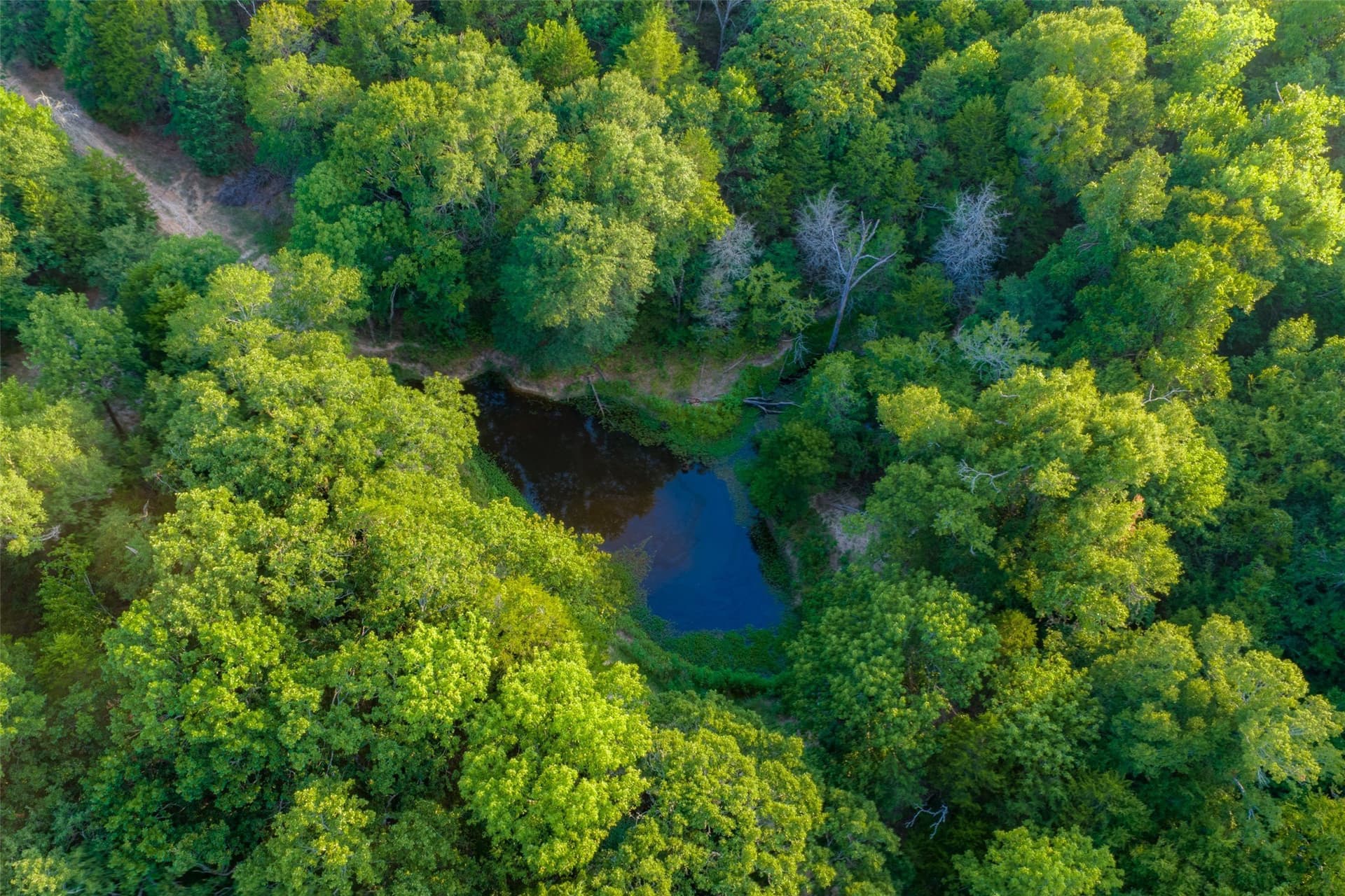 117 acres in Kaufman County - photo 29