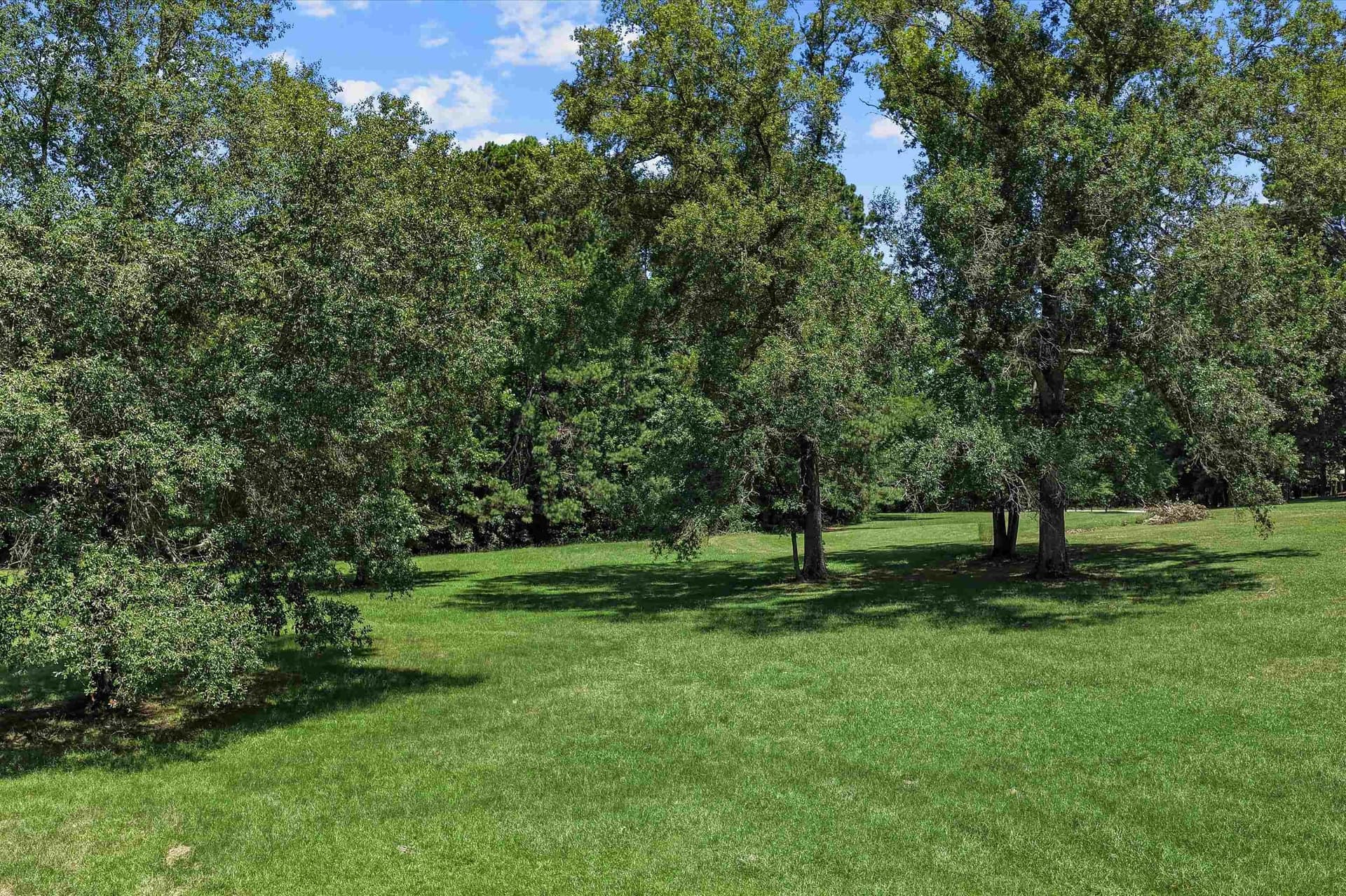 13.93 acres in Harrison County - photo 36