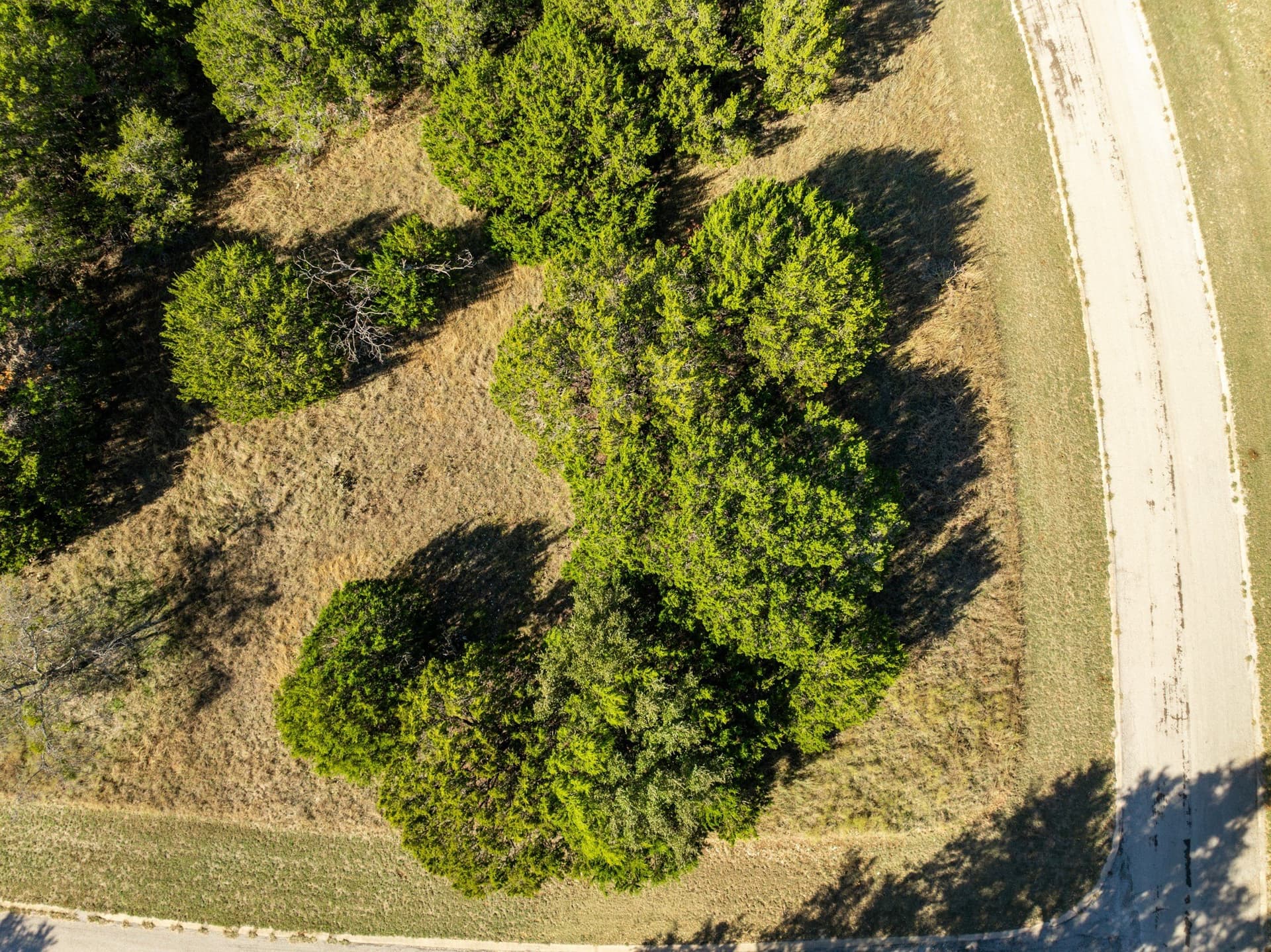0.14 acres in Hill County - photo 6