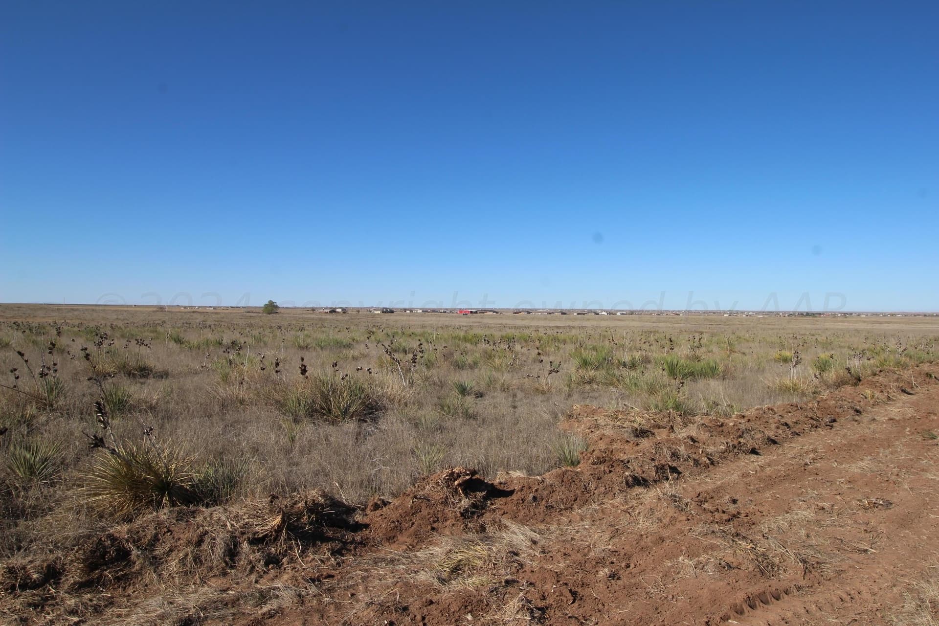 10 acres in Randall County gallery image 3