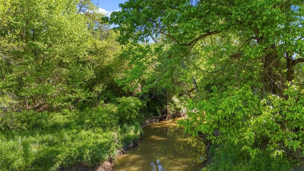 458.69 acres in Navarro County gallery image 2