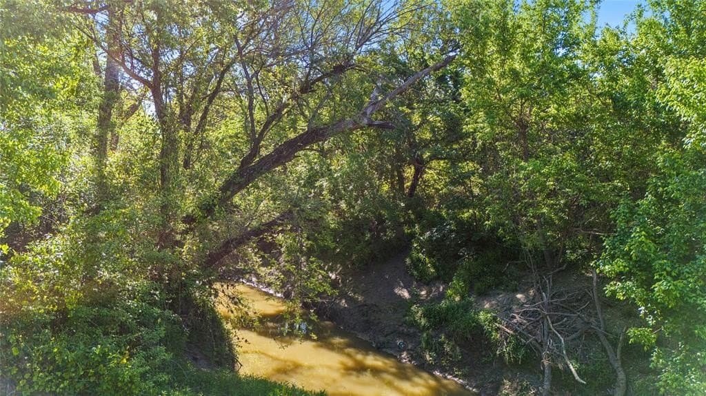 458.69 acres in Navarro County gallery image 3