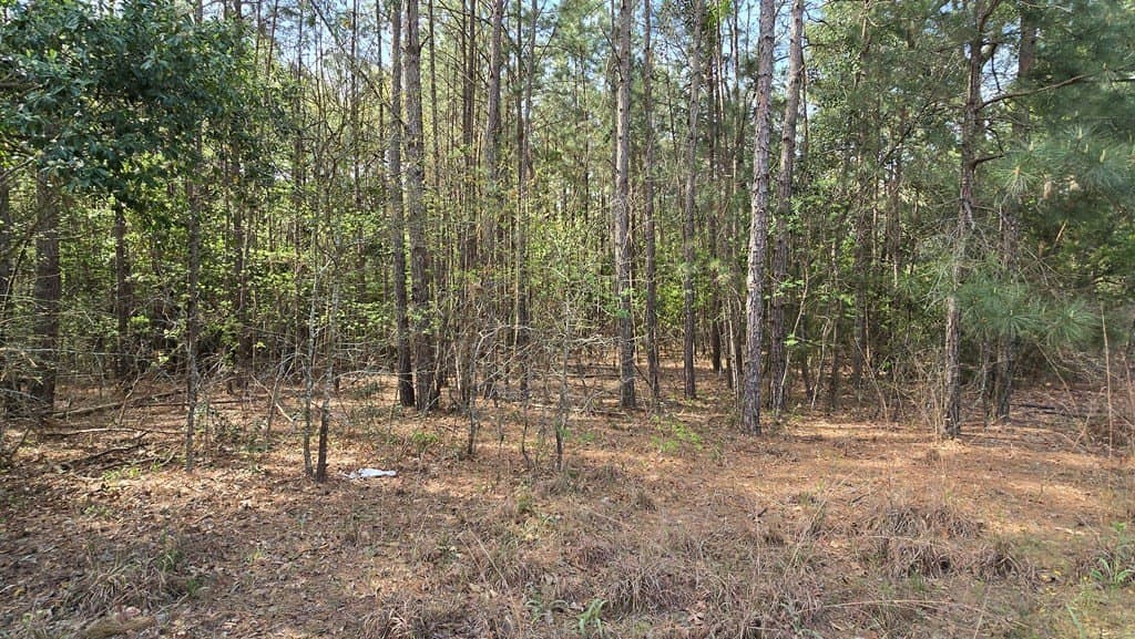 11.4 acres in Texas County - photo 12
