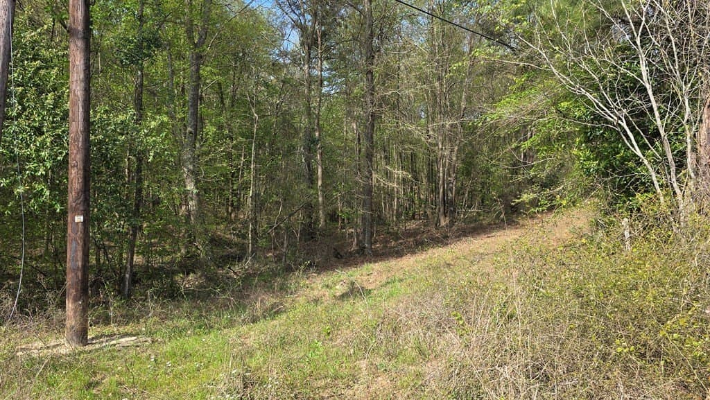 11.4 acres in Texas County gallery image 2