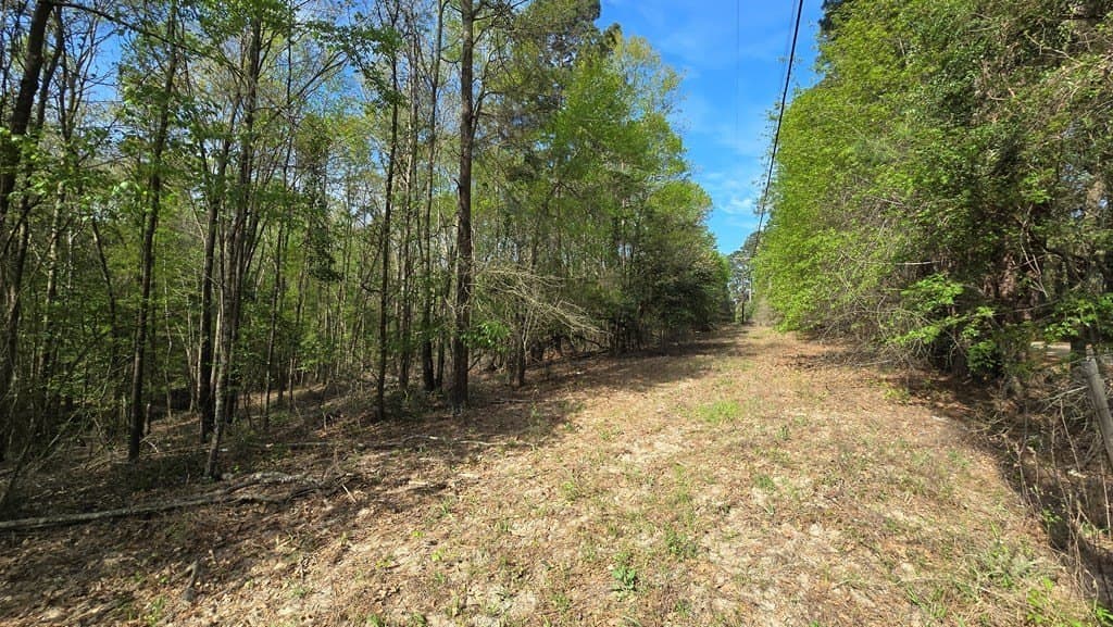 11.4 acres in Texas County - photo 8