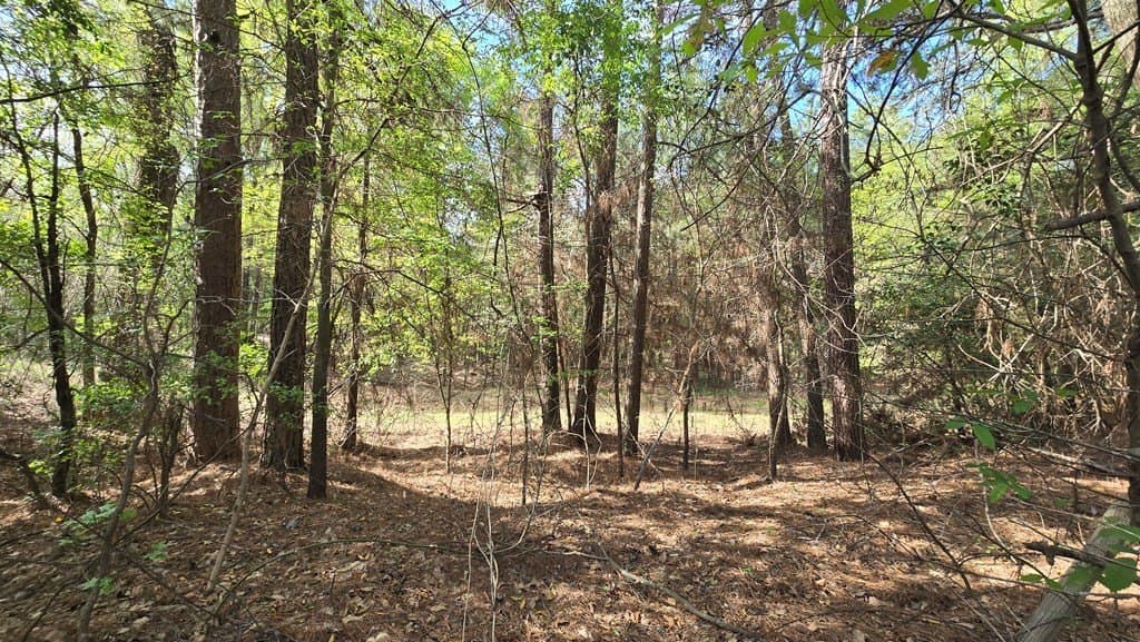 11.4 acres in Texas County - photo 9