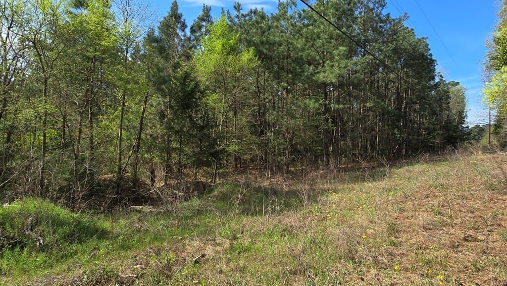 11.4 acres in Texas County - photo 11