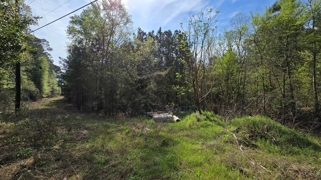 11.4 acres in Texas County - photo 10