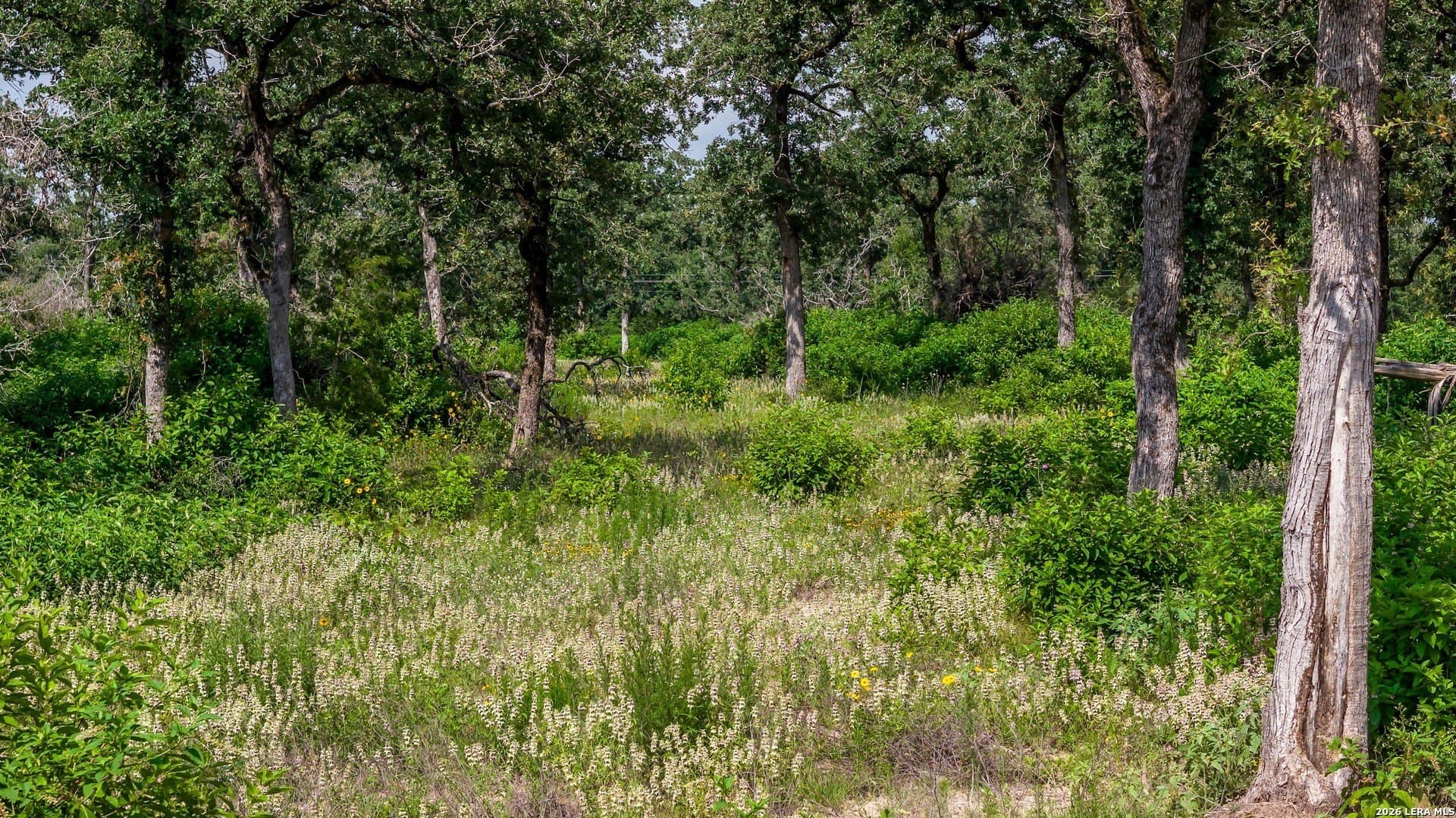 20 acres in Lee County - photo 28