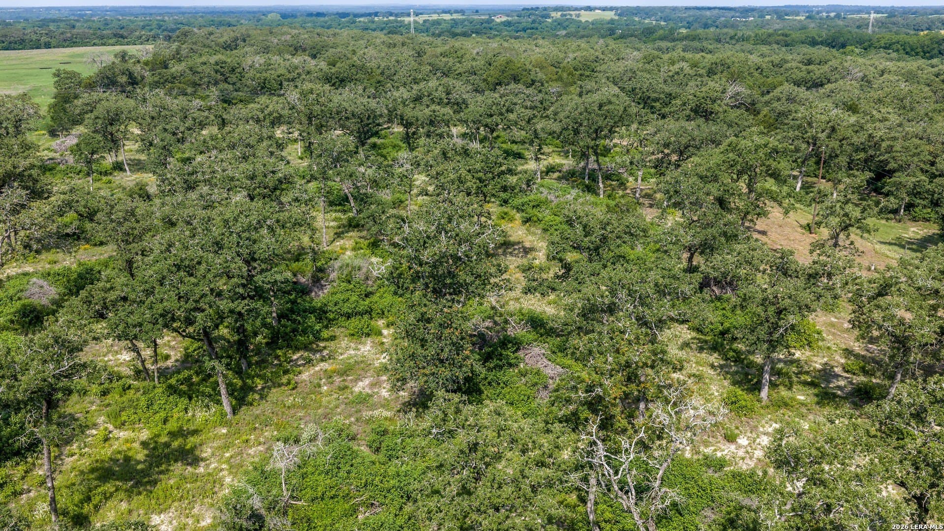20 acres in Lee County - photo 29