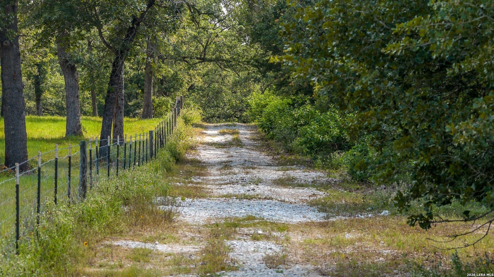 20 acres in Lee County - photo 41