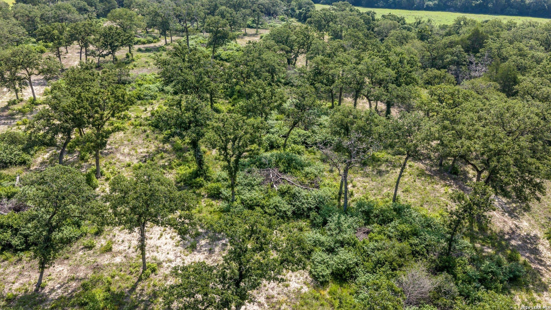 20 acres in Lee County - photo 34