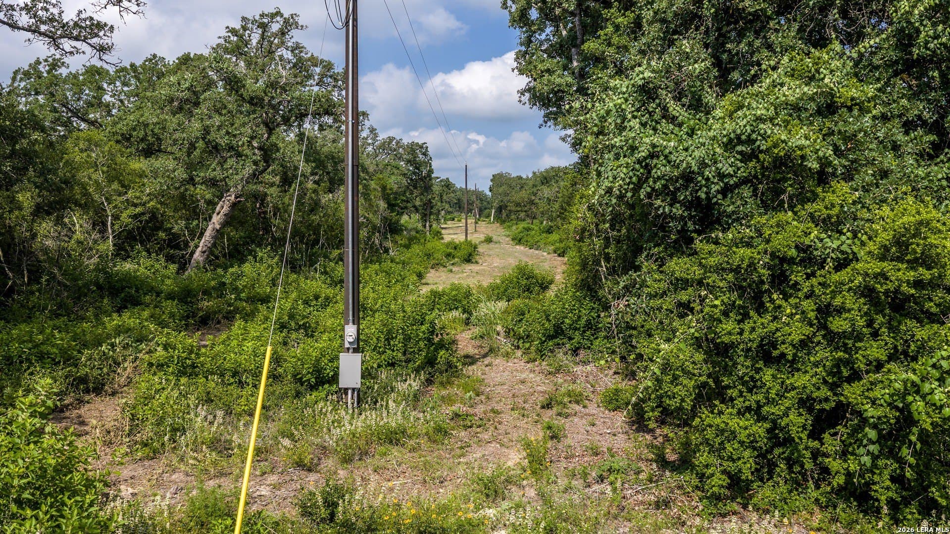 20 acres in Lee County - photo 9