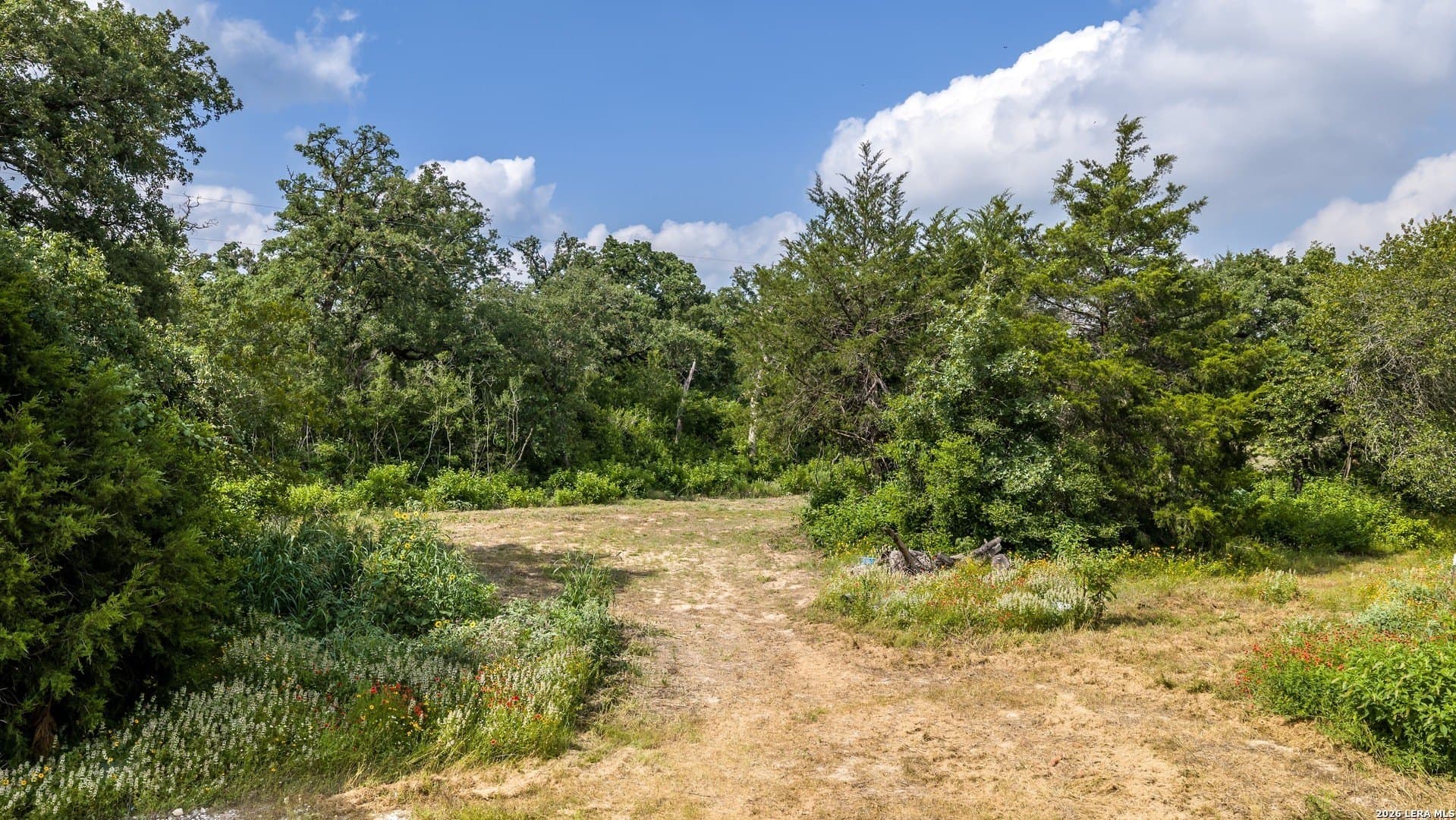 20 acres in Lee County - photo 6