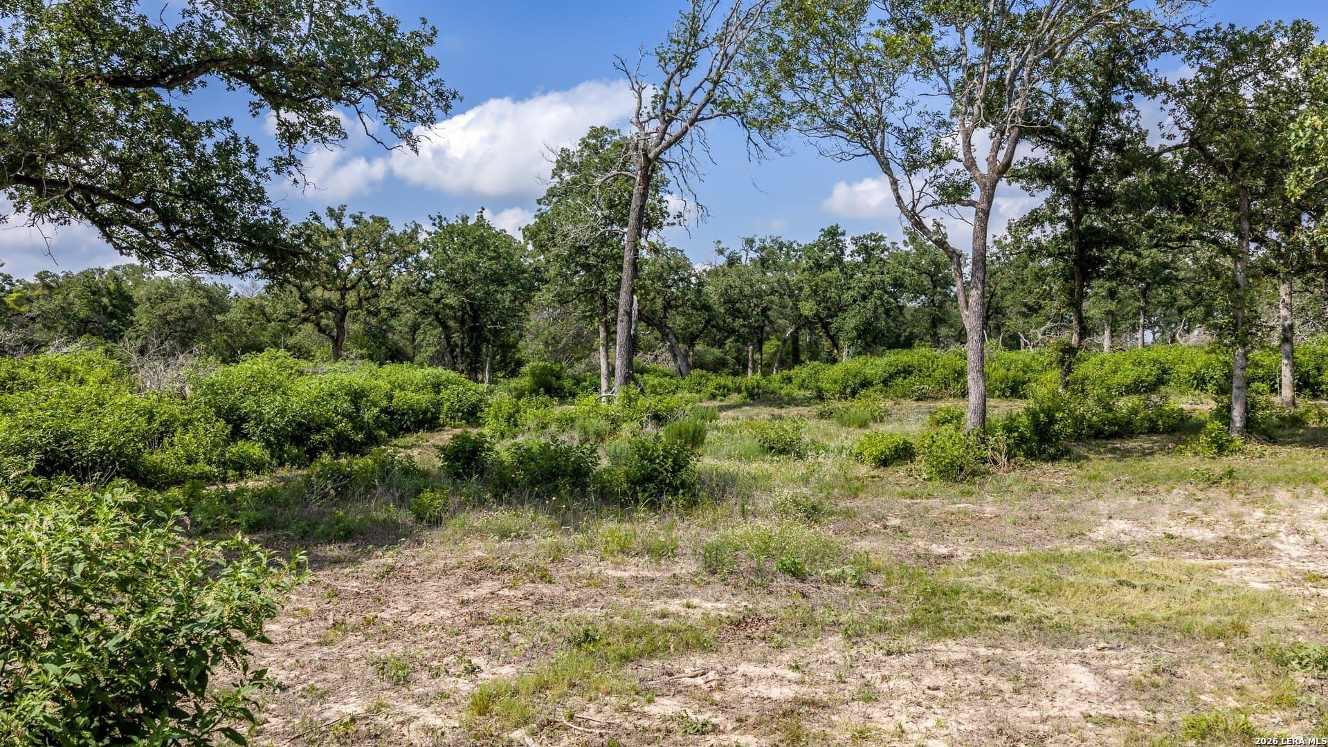 20 acres in Lee County - photo 26