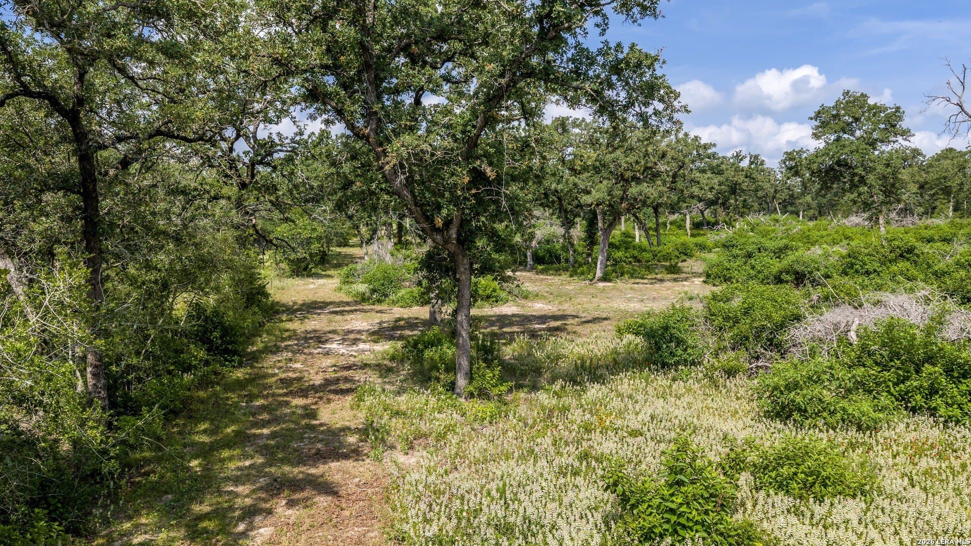 20 acres in Lee County - photo 37