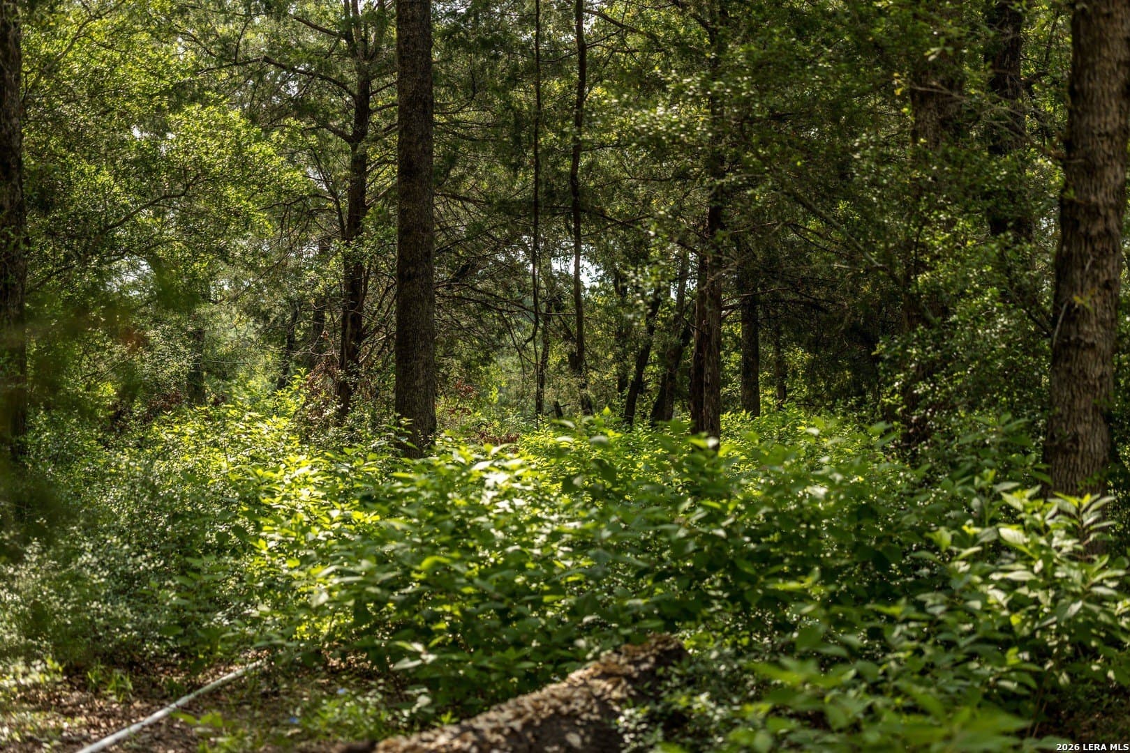 20 acres in Lee County - photo 21