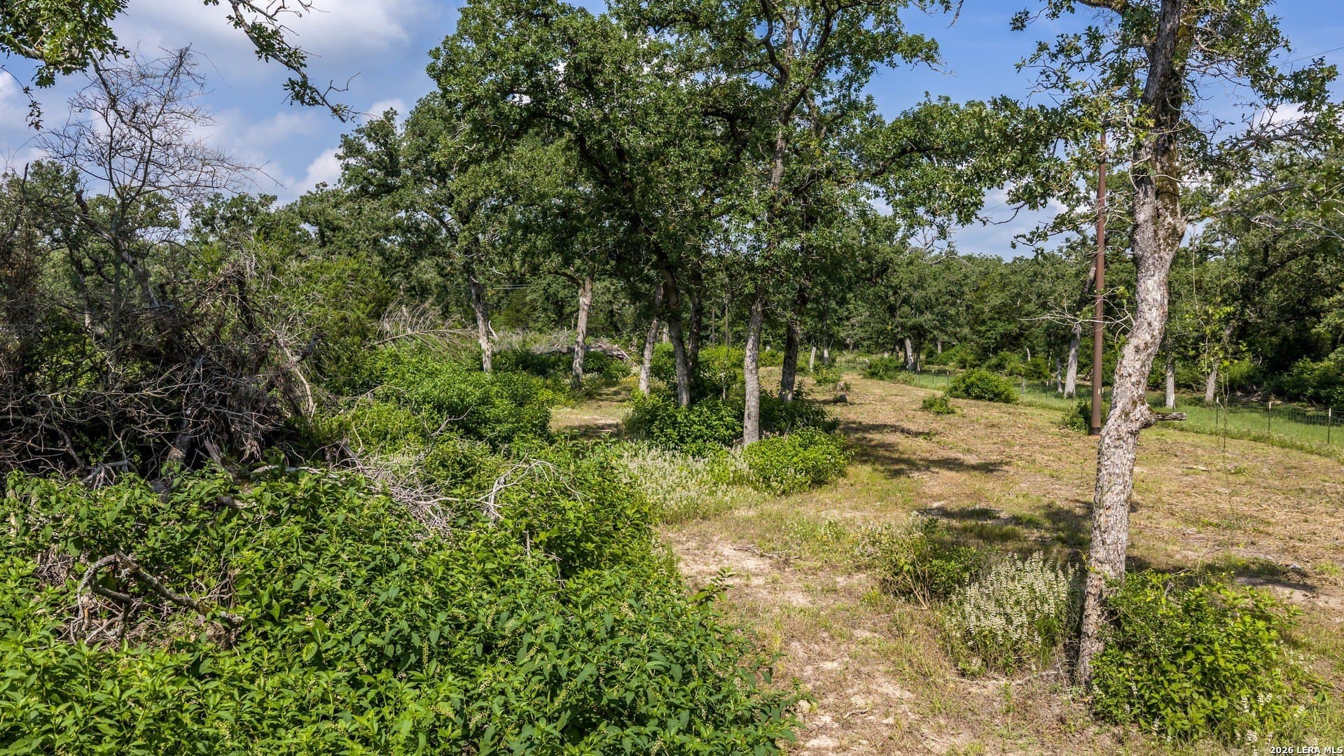 20 acres in Lee County - photo 30