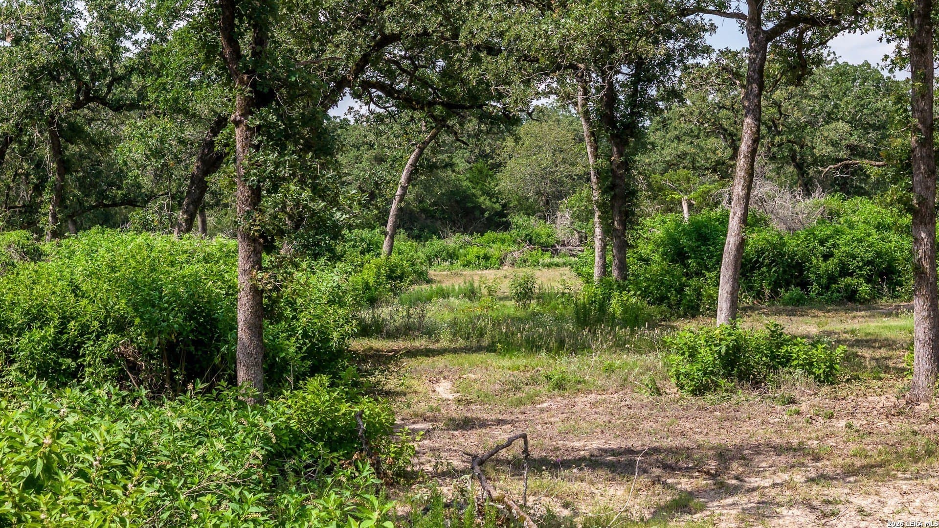 20 acres in Lee County - photo 25