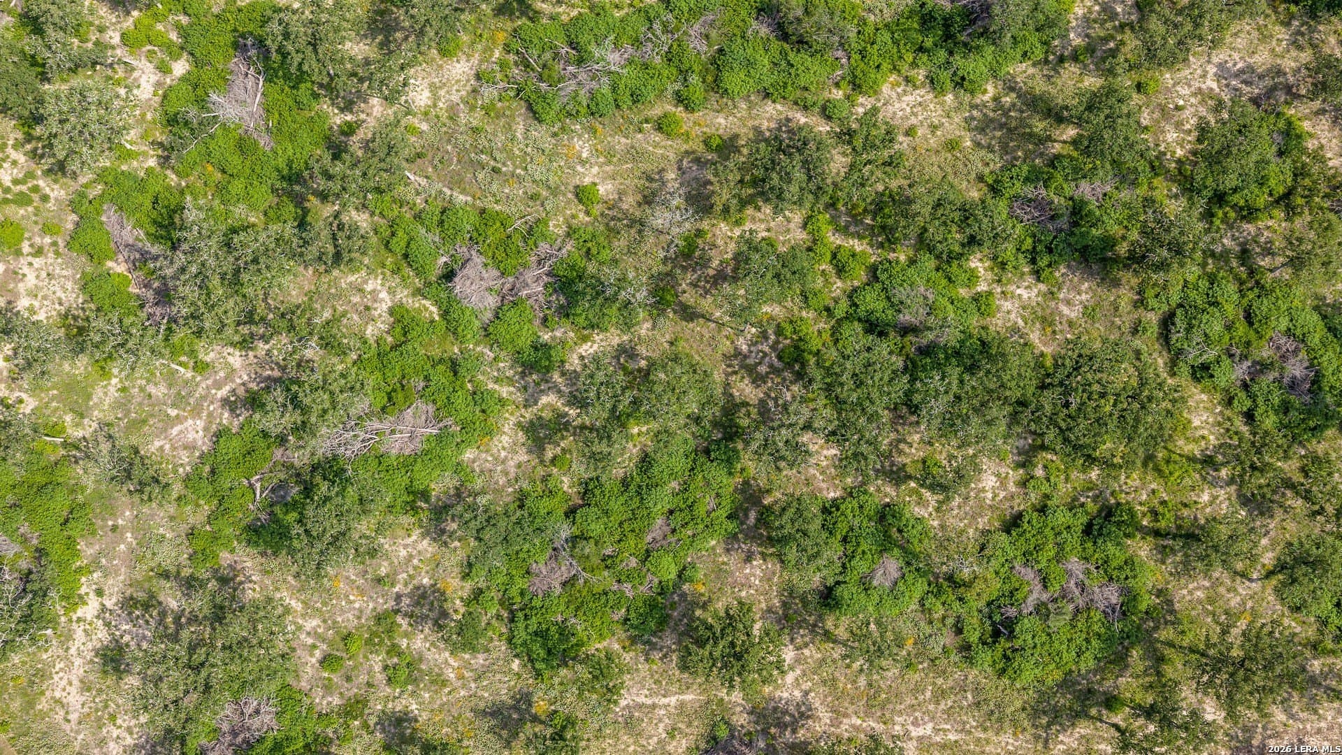 20 acres in Lee County - photo 11