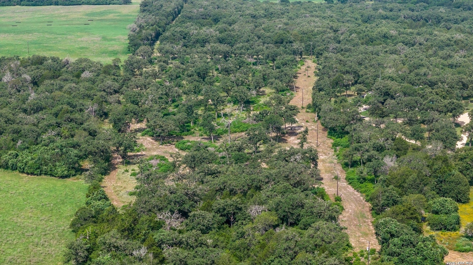 20 acres in Lee County - photo 23