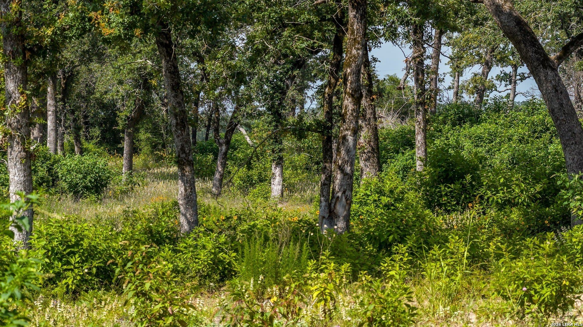 20 acres in Lee County - photo 27