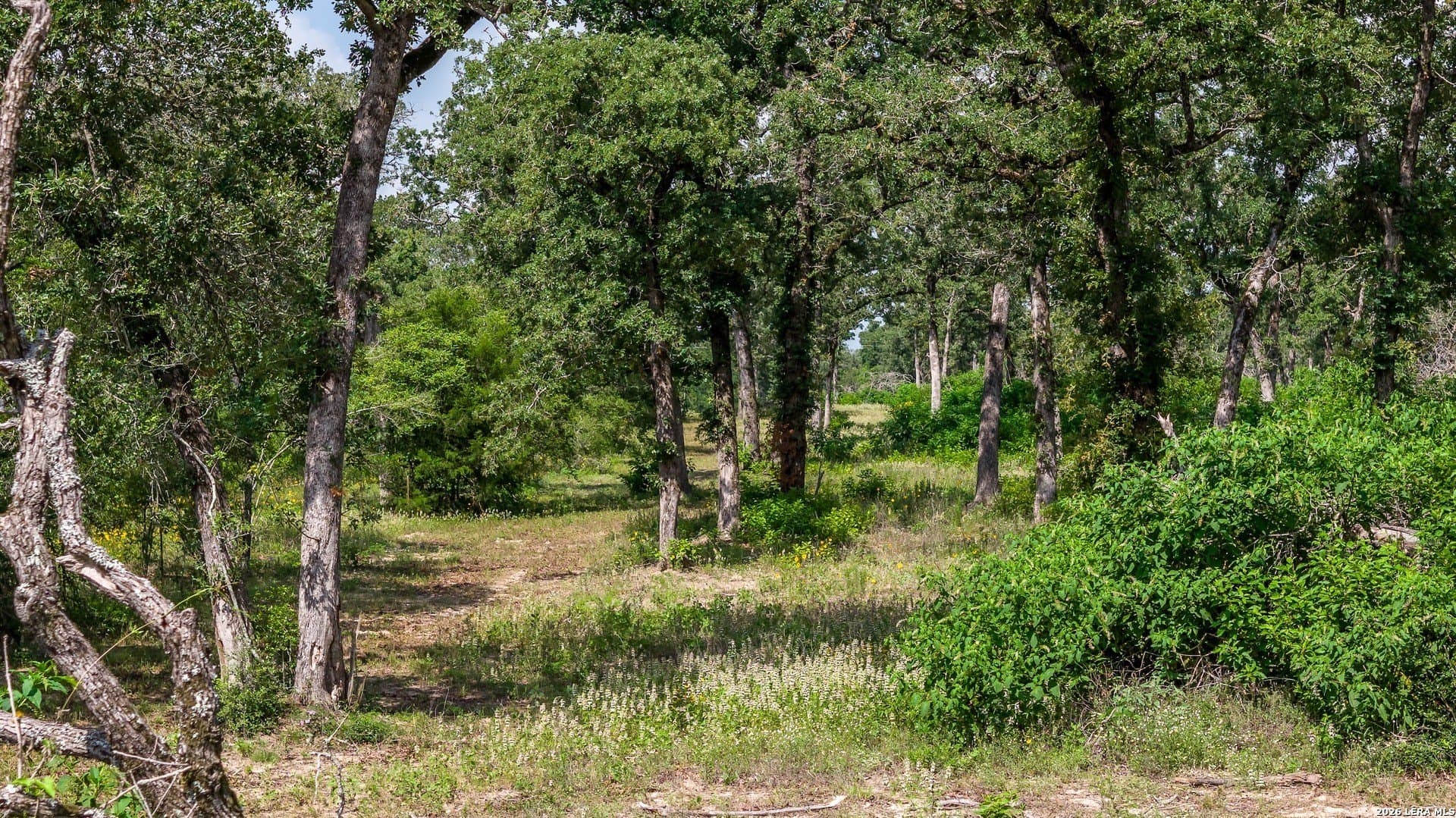 20 acres in Lee County - photo 39
