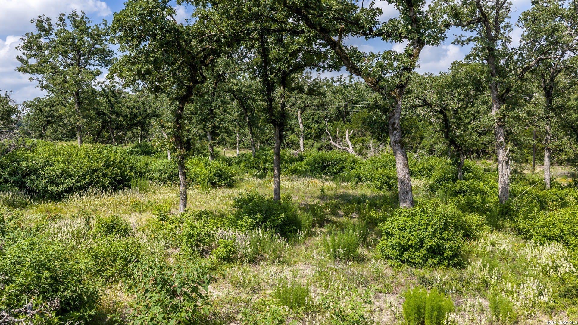 20 acres in Lee County - photo 32