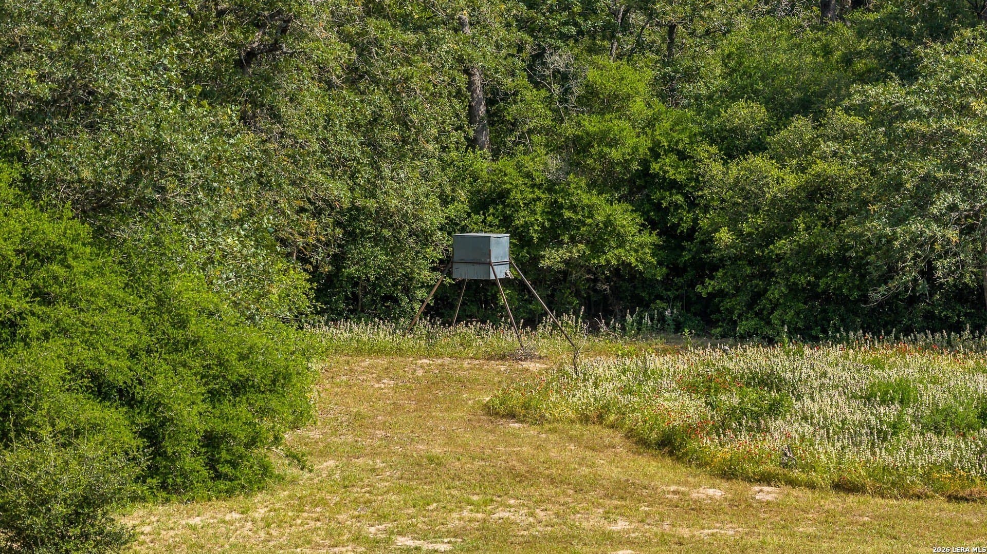 20 acres in Lee County gallery image 4