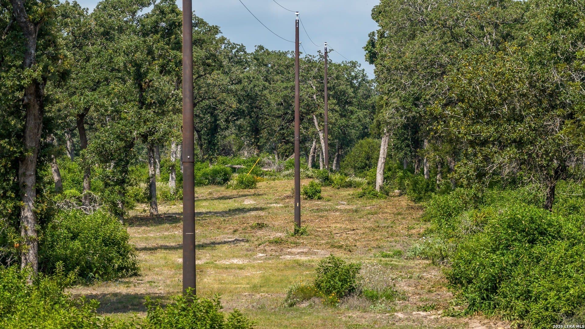 20 acres in Lee County - photo 24
