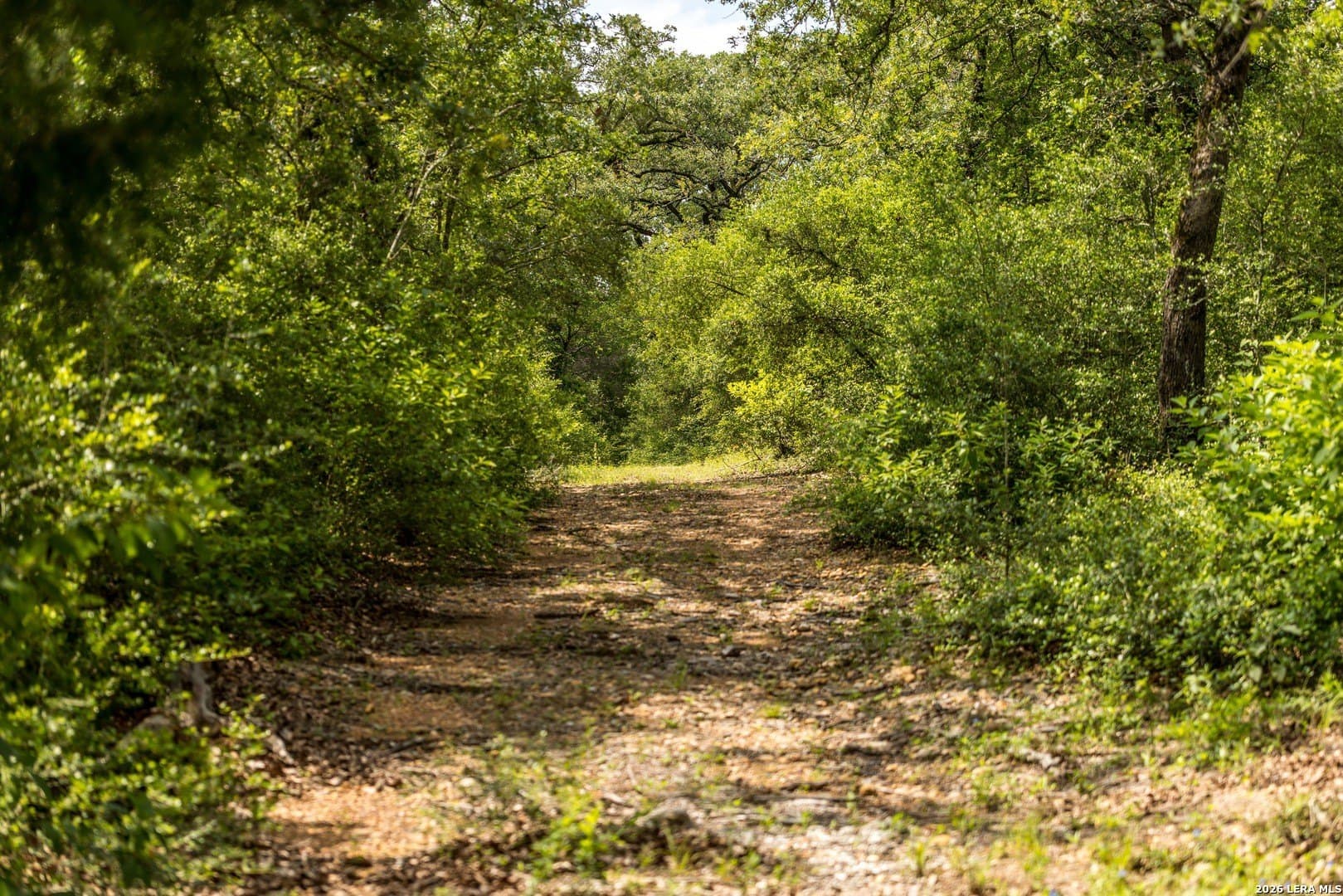 20 acres in Lee County featured view