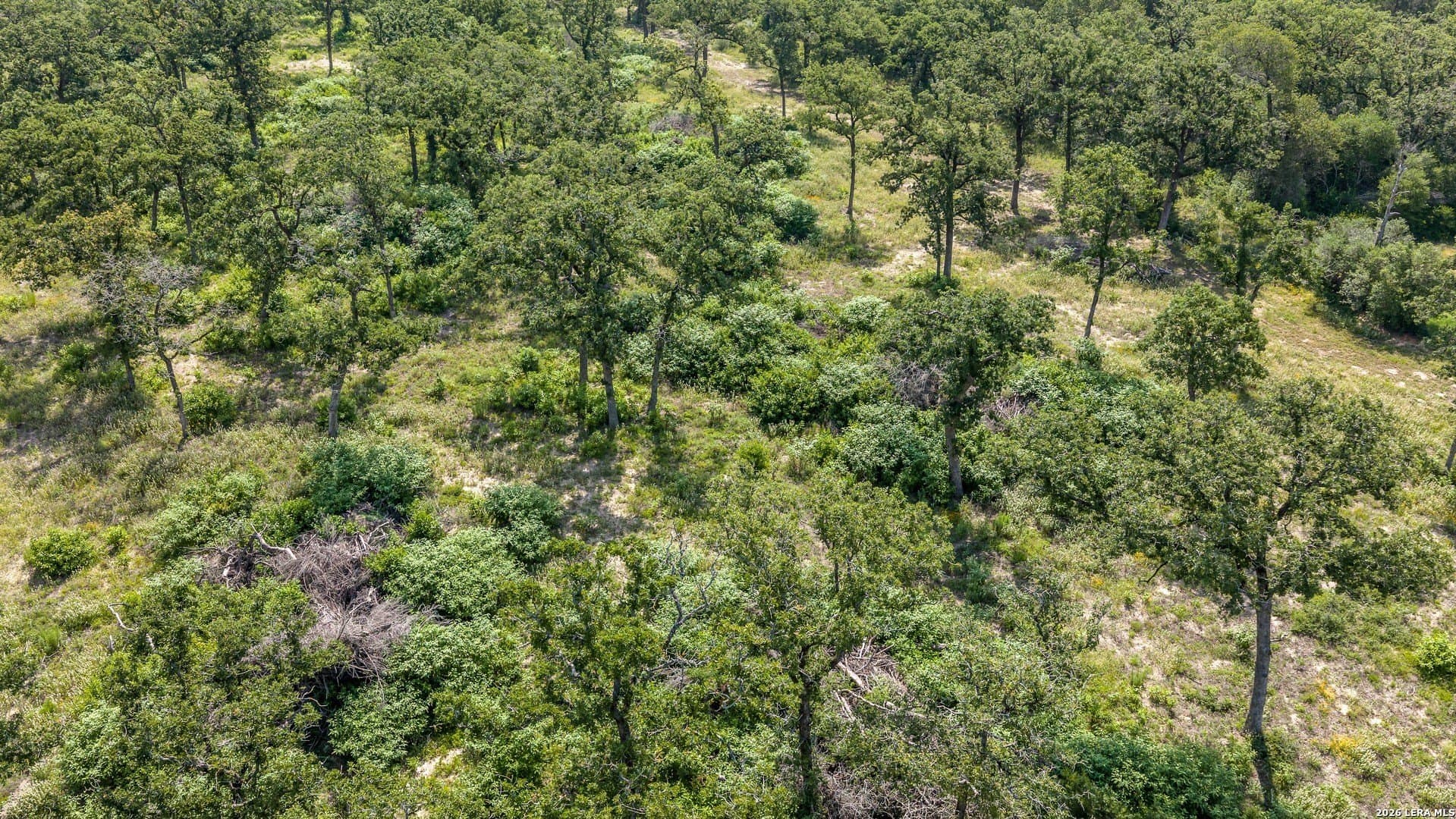 20 acres in Lee County - photo 33