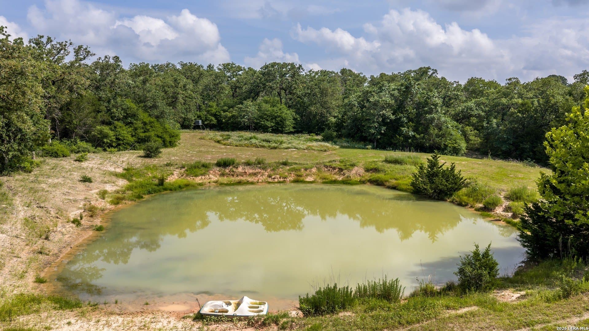 20 acres in Lee County gallery image 3