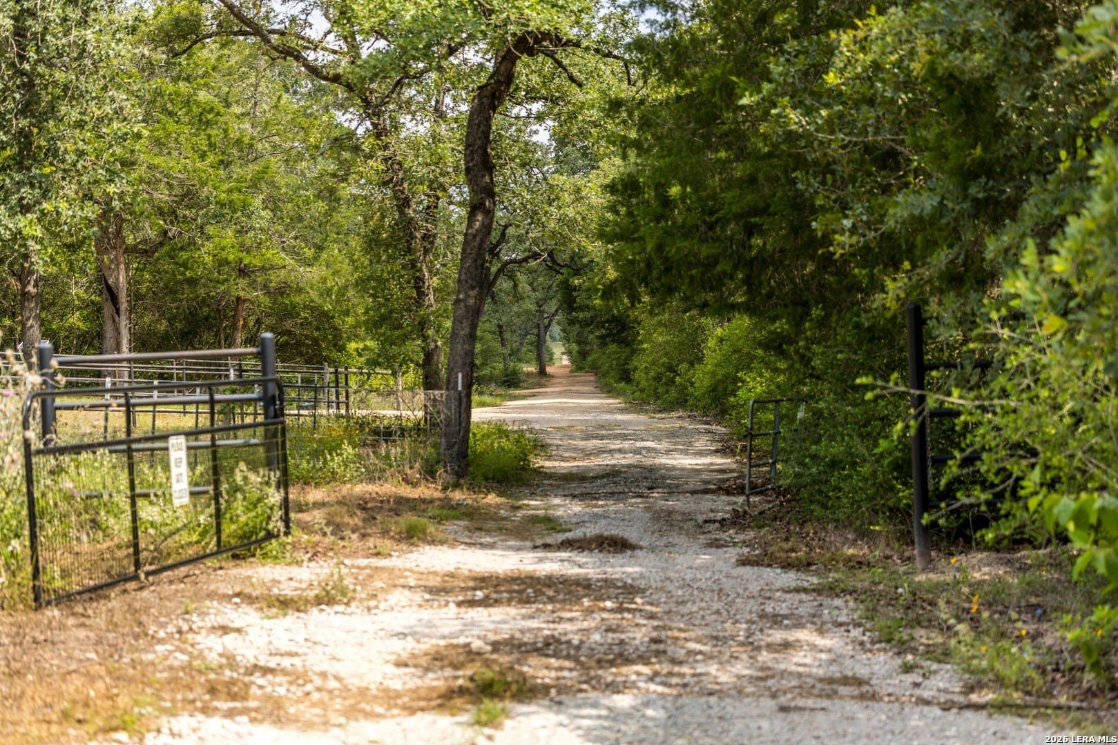 20 acres in Lee County - photo 8