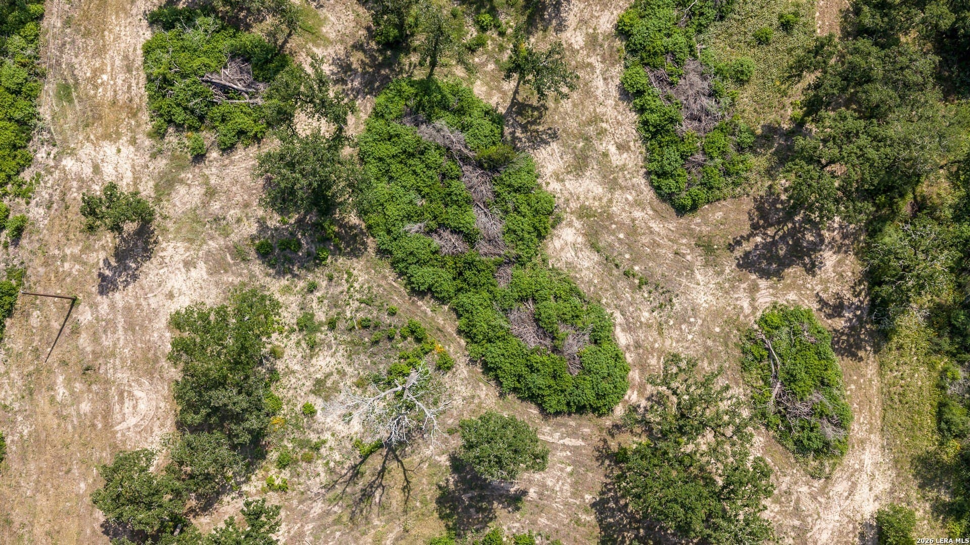20 acres in Lee County - photo 35