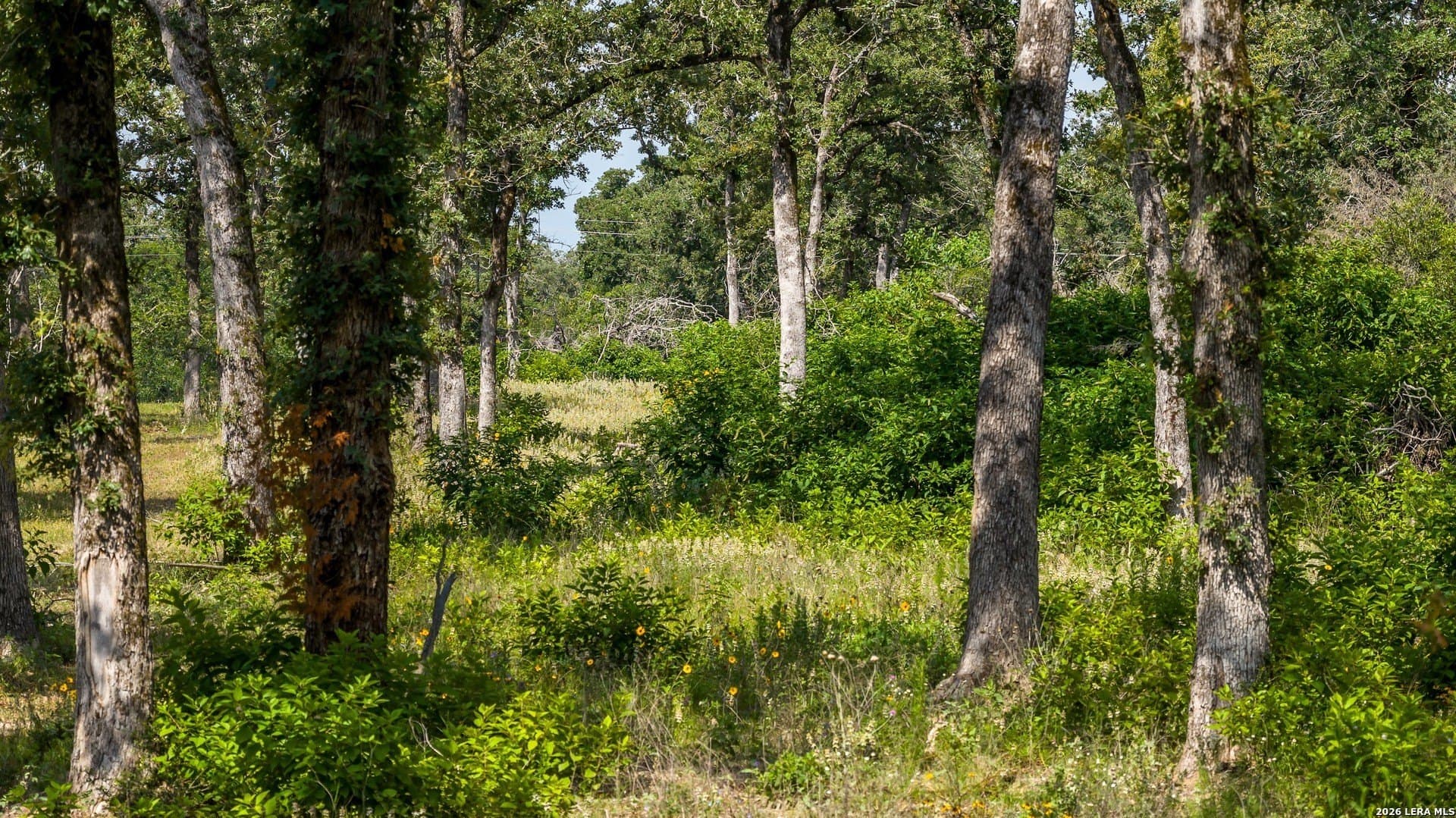20 acres in Lee County - photo 40