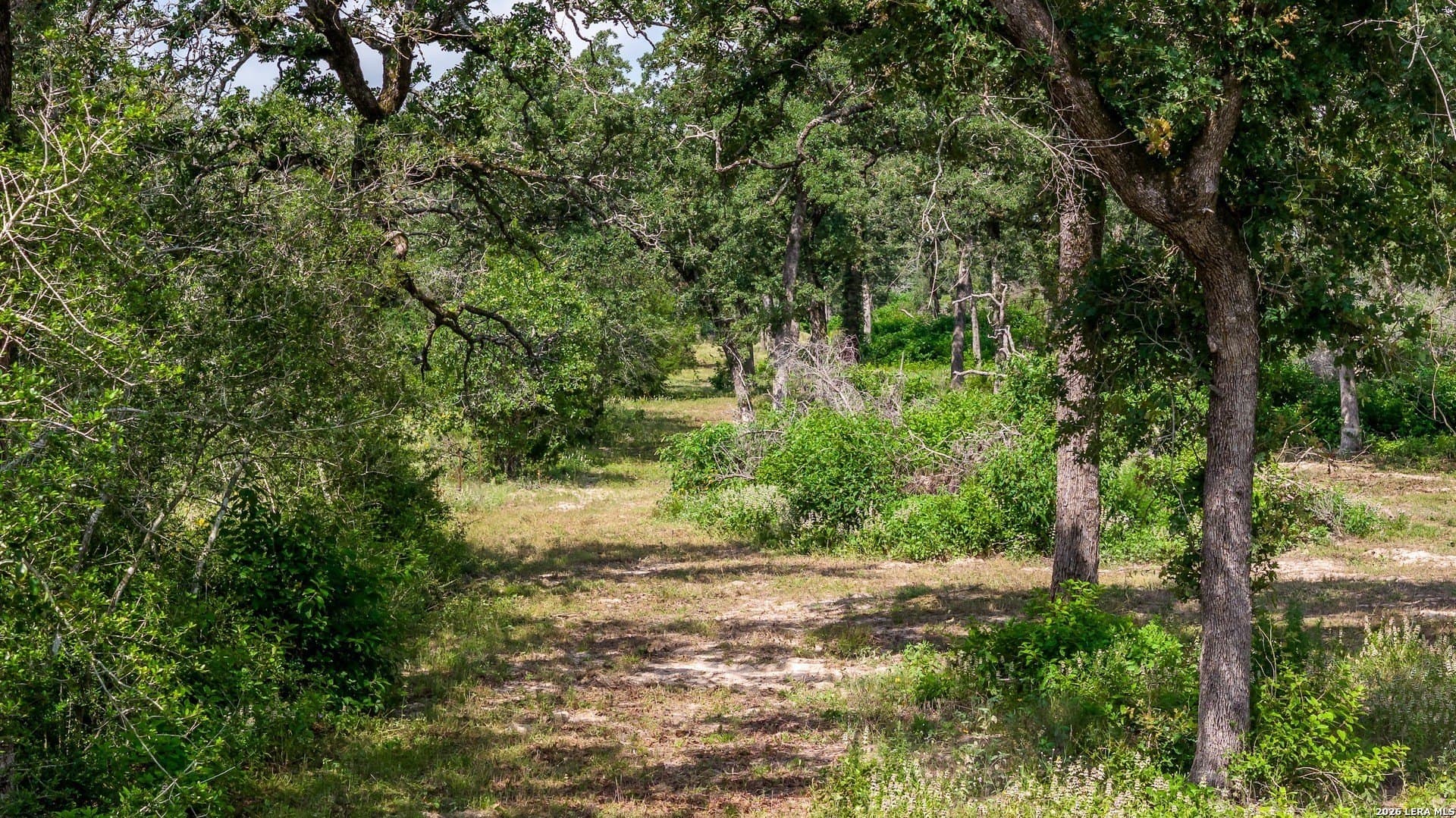 20 acres in Lee County - photo 38
