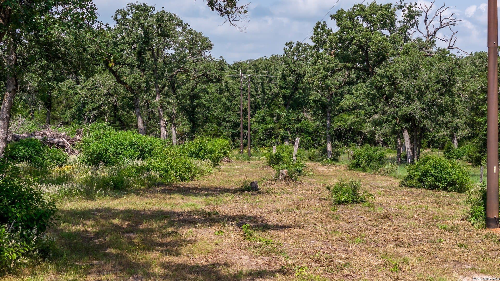 20 acres in Lee County - photo 31